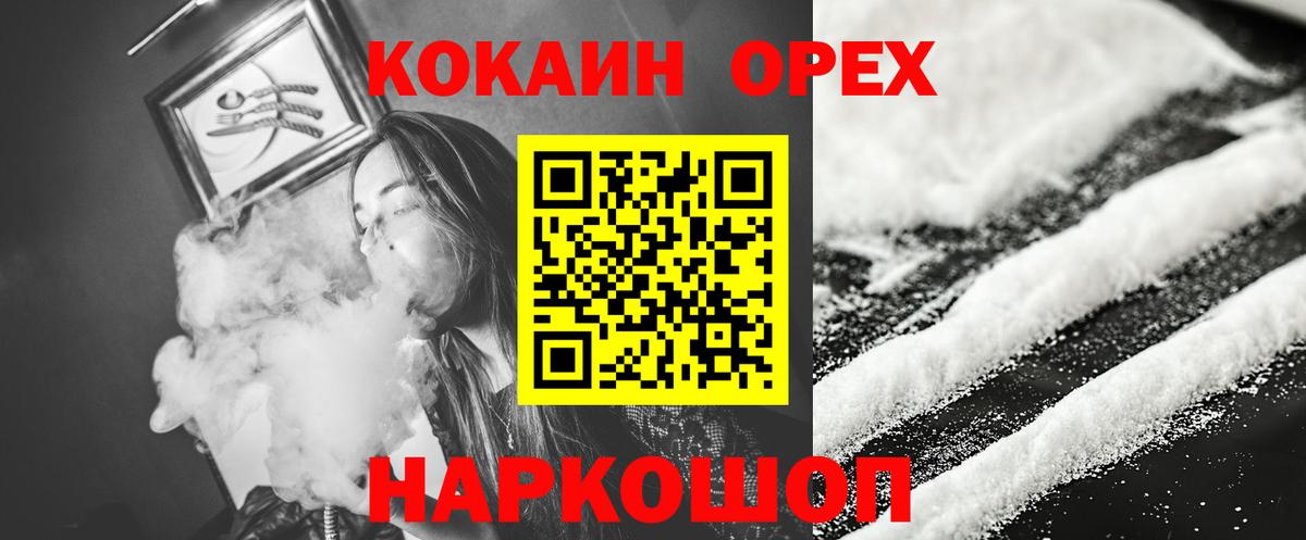 COCAIN Columbia Сокол