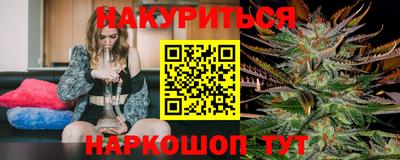 стафф Новозыбков