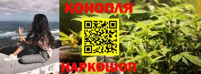 jwh Новодвинск