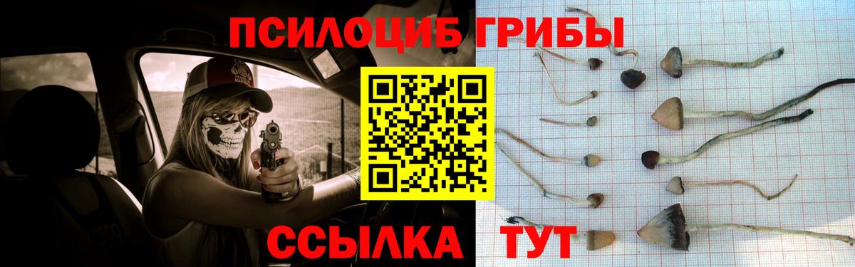магазин    Галлюциногенные грибы ЛСД  Вход с VPN  Сокол 