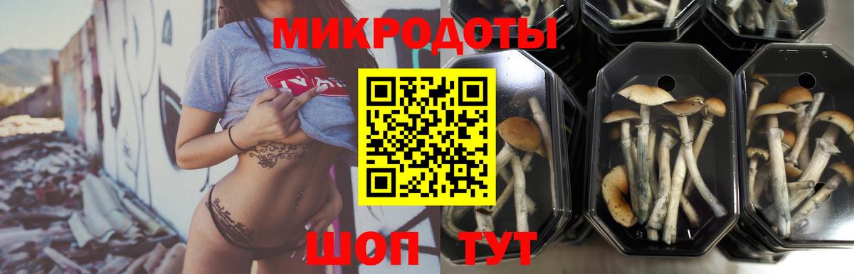 Псилоцибиновые грибы Magic Shrooms Сокол